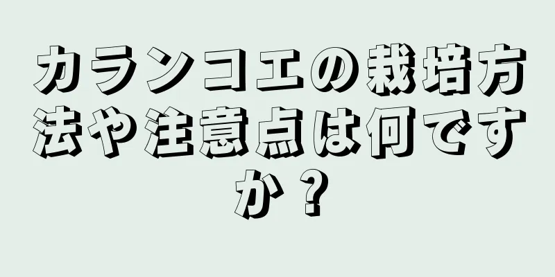 カランコエの栽培方法や注意点は何ですか？