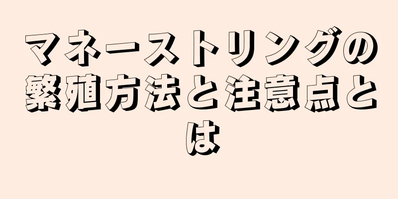 マネーストリングの繁殖方法と注意点とは
