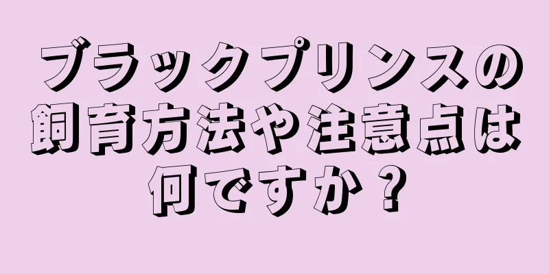 ブラックプリンスの飼育方法や注意点は何ですか？