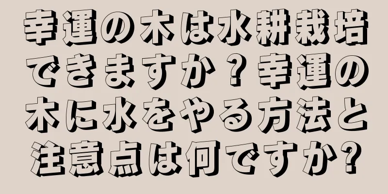 幸運の木は水耕栽培できますか？幸運の木に水をやる方法と注意点は何ですか?