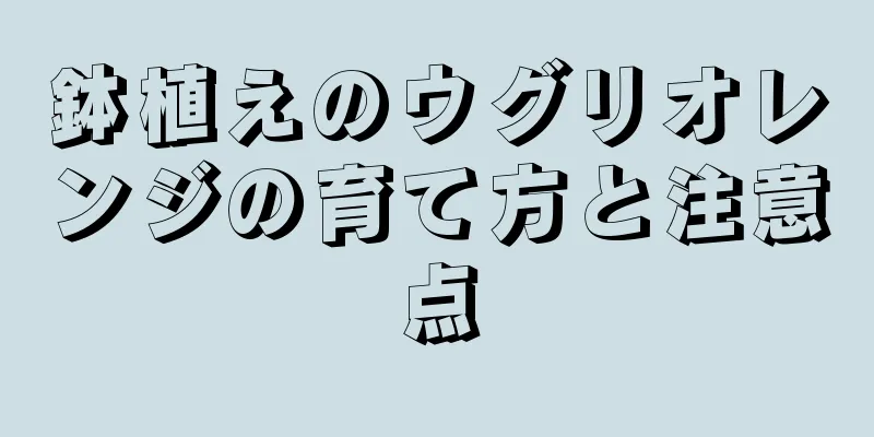 鉢植えのウグリオレンジの育て方と注意点