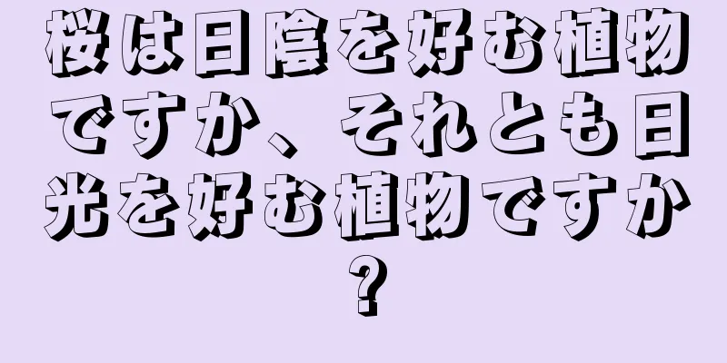 桜は日陰を好む植物ですか、それとも日光を好む植物ですか?