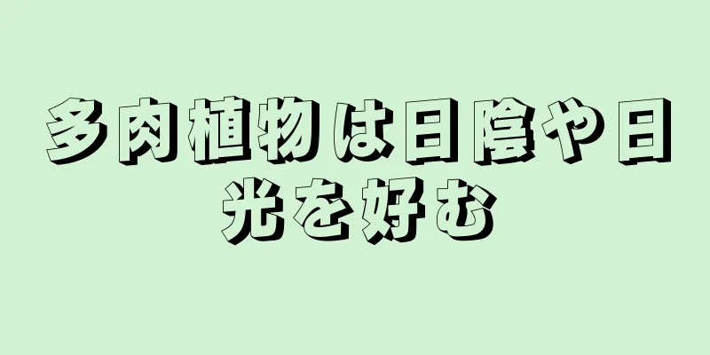 多肉植物は日陰や日光を好む
