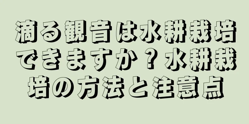 滴る観音は水耕栽培できますか？水耕栽培の方法と注意点