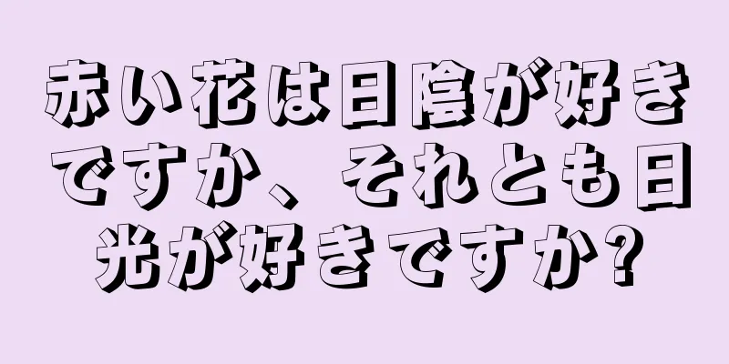 赤い花は日陰が好きですか、それとも日光が好きですか?