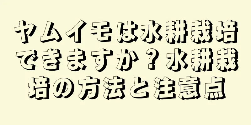 ヤムイモは水耕栽培できますか？水耕栽培の方法と注意点