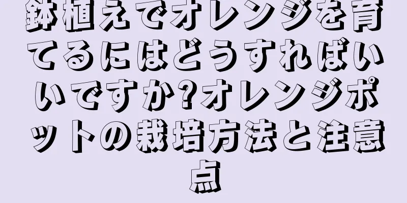 鉢植えでオレンジを育てるにはどうすればいいですか?オレンジポットの栽培方法と注意点