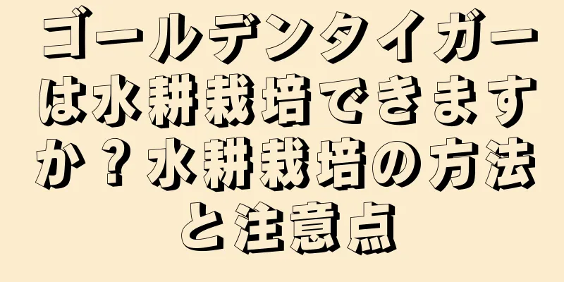 ゴールデンタイガーは水耕栽培できますか？水耕栽培の方法と注意点