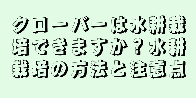 クローバーは水耕栽培できますか？水耕栽培の方法と注意点
