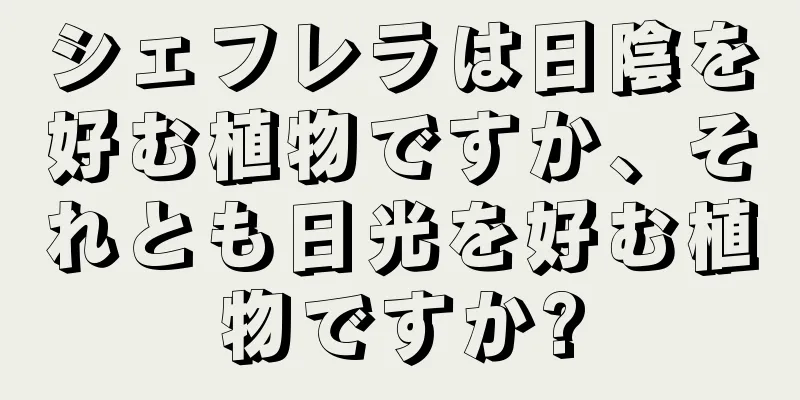 シェフレラは日陰を好む植物ですか、それとも日光を好む植物ですか?