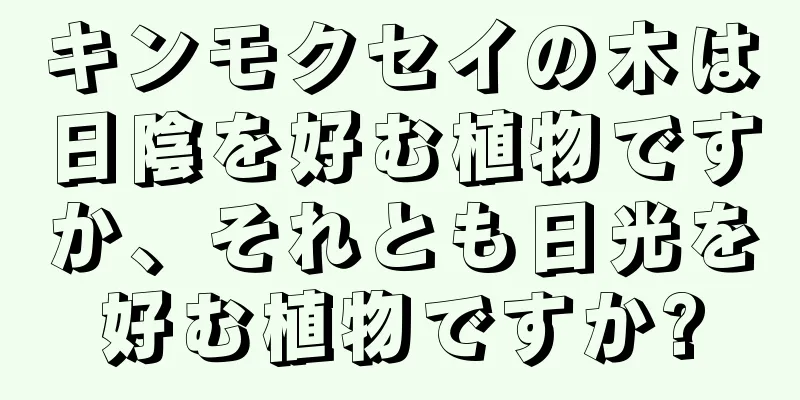 キンモクセイの木は日陰を好む植物ですか、それとも日光を好む植物ですか?