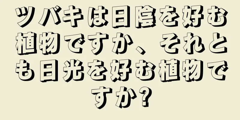 ツバキは日陰を好む植物ですか、それとも日光を好む植物ですか?