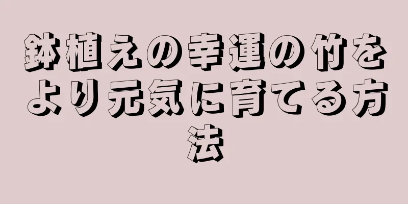鉢植えの幸運の竹をより元気に育てる方法