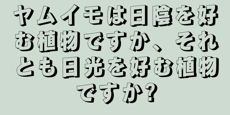 ヤムイモは日陰を好む植物ですか、それとも日光を好む植物ですか?