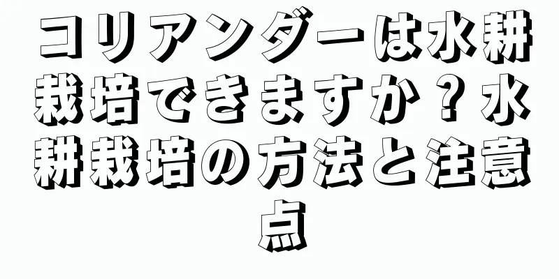 コリアンダーは水耕栽培できますか？水耕栽培の方法と注意点