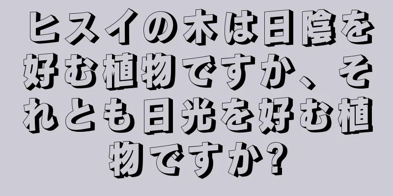 ヒスイの木は日陰を好む植物ですか、それとも日光を好む植物ですか?