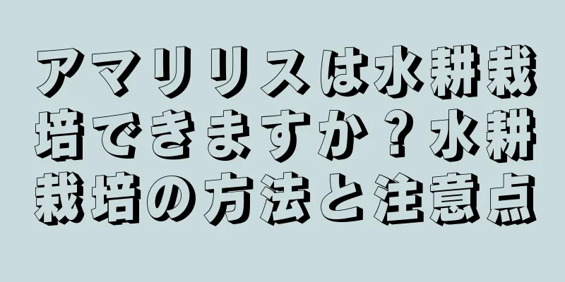 アマリリスは水耕栽培できますか？水耕栽培の方法と注意点