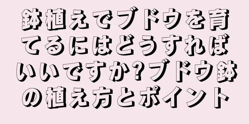 鉢植えでブドウを育てるにはどうすればいいですか?ブドウ鉢の植え方とポイント