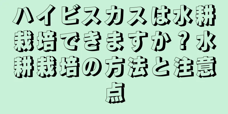 ハイビスカスは水耕栽培できますか？水耕栽培の方法と注意点