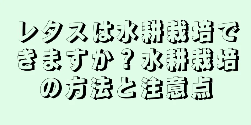 レタスは水耕栽培できますか？水耕栽培の方法と注意点