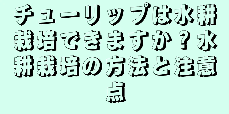 チューリップは水耕栽培できますか？水耕栽培の方法と注意点