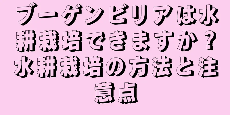 ブーゲンビリアは水耕栽培できますか？水耕栽培の方法と注意点
