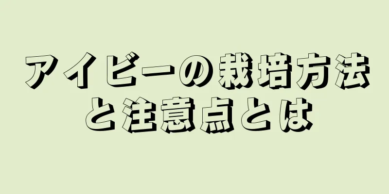 アイビーの栽培方法と注意点とは
