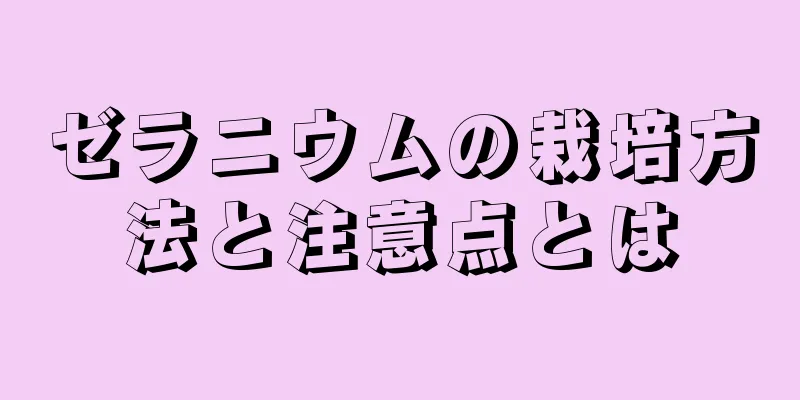 ゼラニウムの栽培方法と注意点とは
