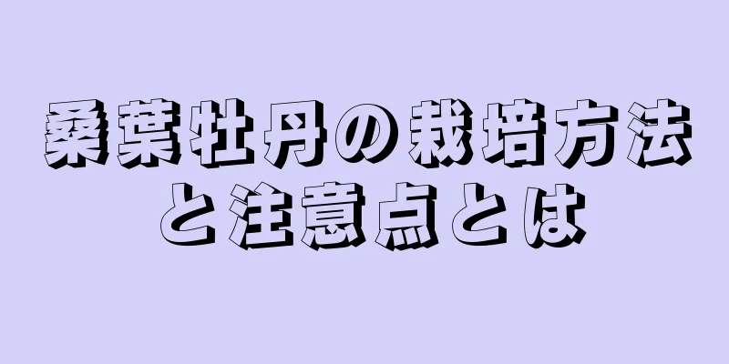 桑葉牡丹の栽培方法と注意点とは