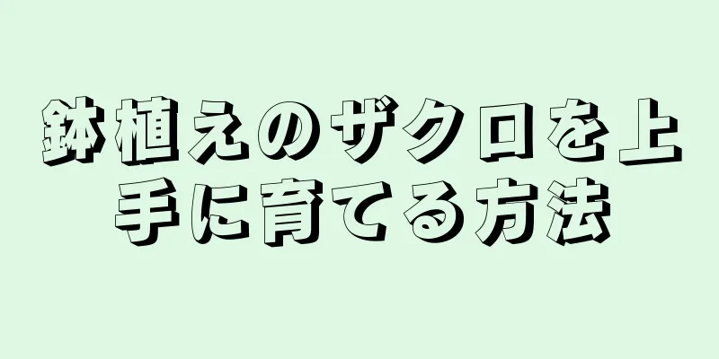 鉢植えのザクロを上手に育てる方法