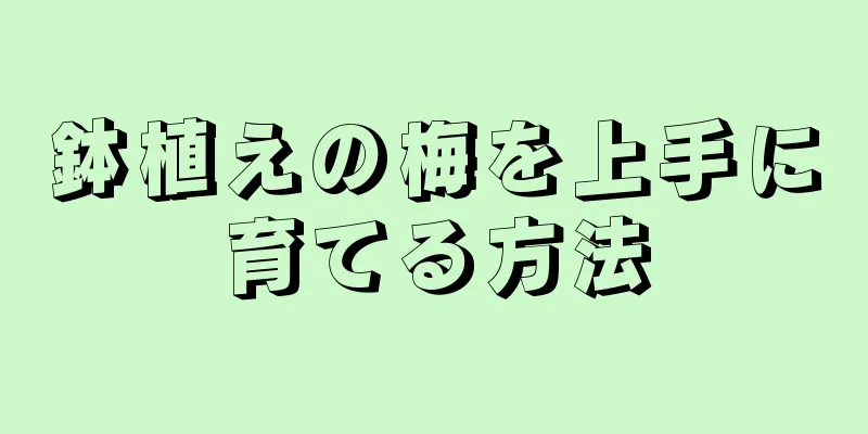 鉢植えの梅を上手に育てる方法