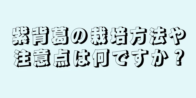 紫背葛の栽培方法や注意点は何ですか？