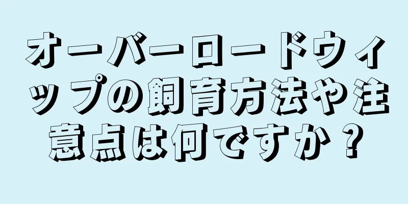 オーバーロードウィップの飼育方法や注意点は何ですか？