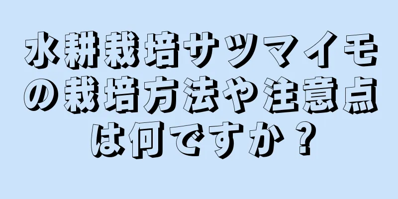 水耕栽培サツマイモの栽培方法や注意点は何ですか？