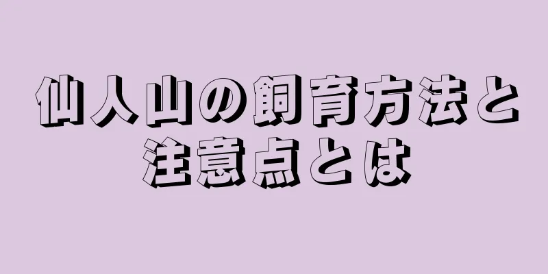 仙人山の飼育方法と注意点とは