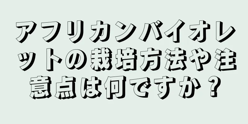 アフリカンバイオレットの栽培方法や注意点は何ですか？