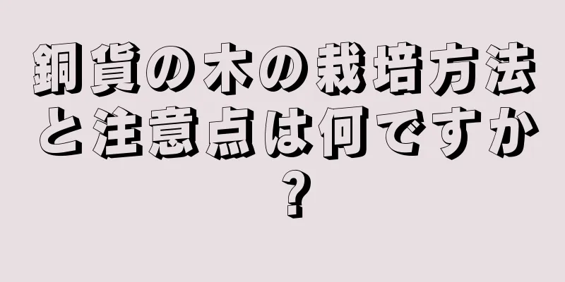 銅貨の木の栽培方法と注意点は何ですか？