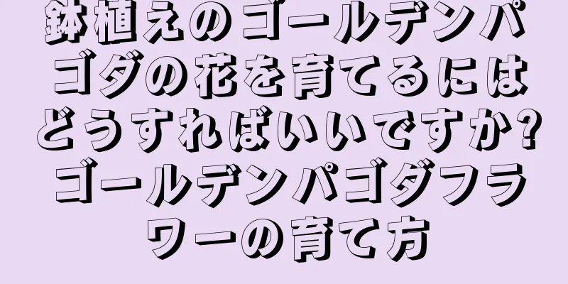 鉢植えのゴールデンパゴダの花を育てるにはどうすればいいですか?ゴールデンパゴダフラワーの育て方