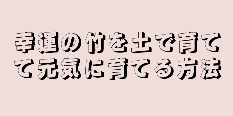 幸運の竹を土で育てて元気に育てる方法