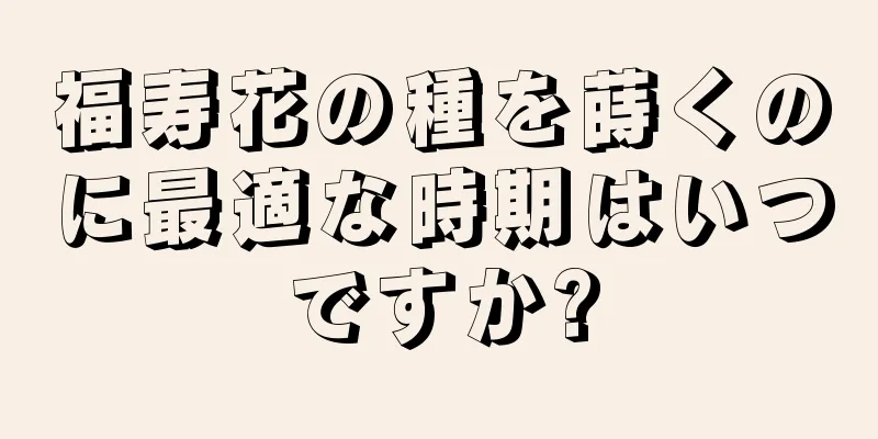 福寿花の種を蒔くのに最適な時期はいつですか?