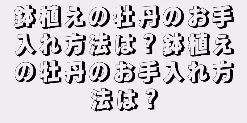 鉢植えの牡丹のお手入れ方法は？鉢植えの牡丹のお手入れ方法は？