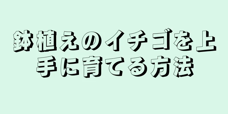鉢植えのイチゴを上手に育てる方法