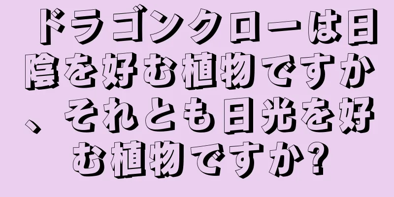 ドラゴンクローは日陰を好む植物ですか、それとも日光を好む植物ですか?