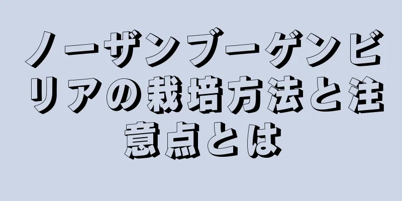 ノーザンブーゲンビリアの栽培方法と注意点とは
