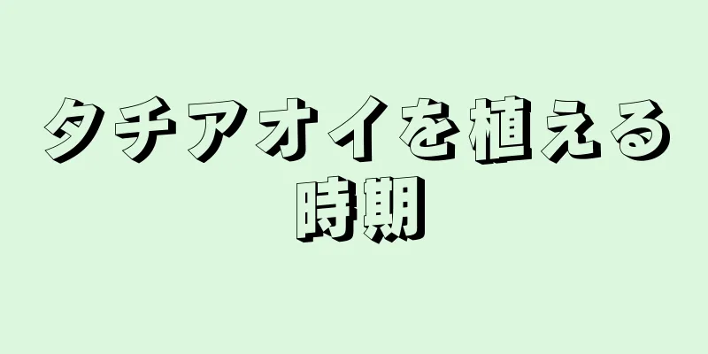 タチアオイを植える時期