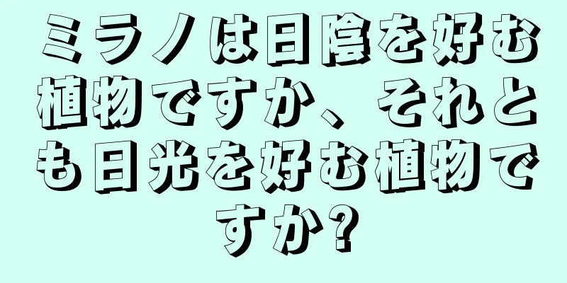 ミラノは日陰を好む植物ですか、それとも日光を好む植物ですか?