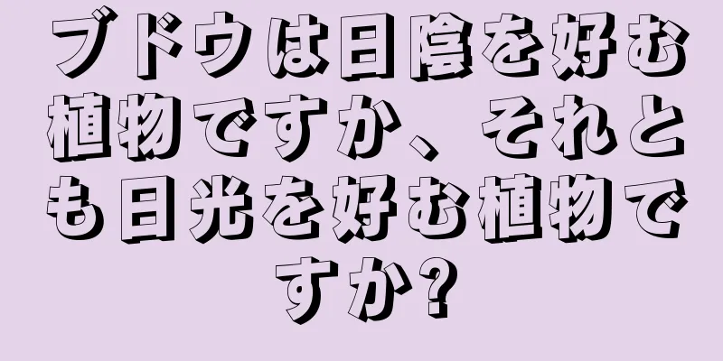 ブドウは日陰を好む植物ですか、それとも日光を好む植物ですか?