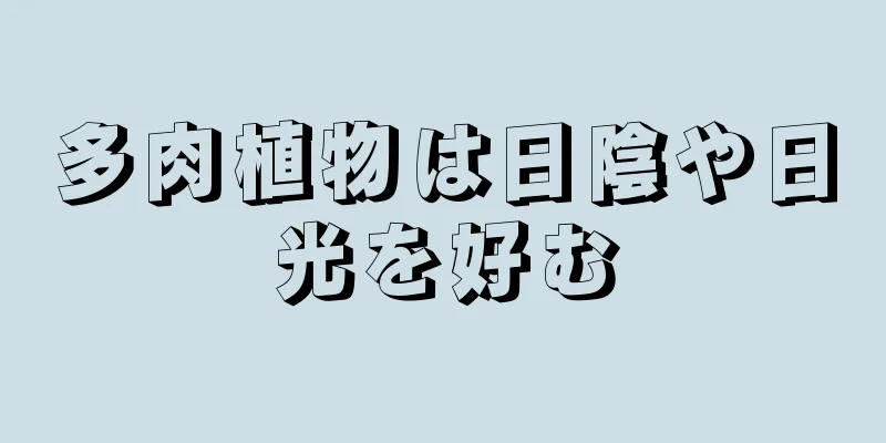 多肉植物は日陰や日光を好む
