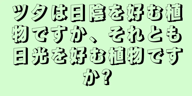 ツタは日陰を好む植物ですか、それとも日光を好む植物ですか?