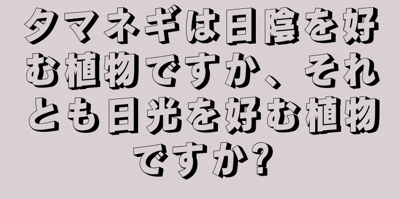 タマネギは日陰を好む植物ですか、それとも日光を好む植物ですか?